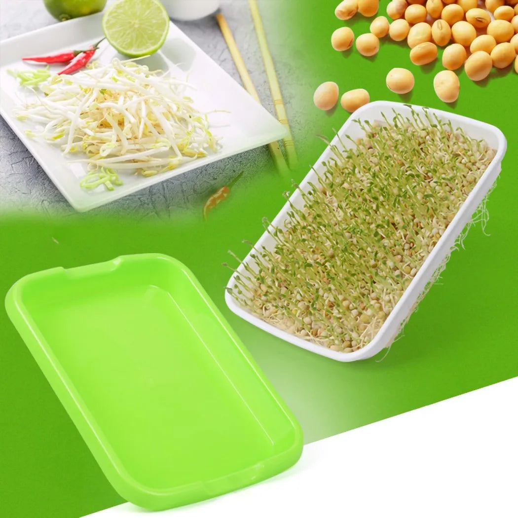 Hydroponic Microgreens Sprouter Tray - Perfect for Home Gardening and Nursery Systems