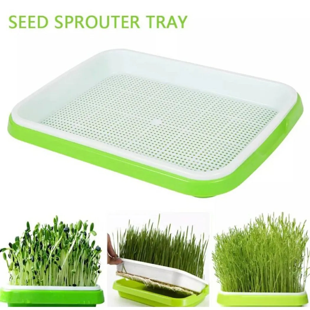 Hydroponic Microgreens Sprouter Tray - Perfect for Home Gardening and Nursery Systems