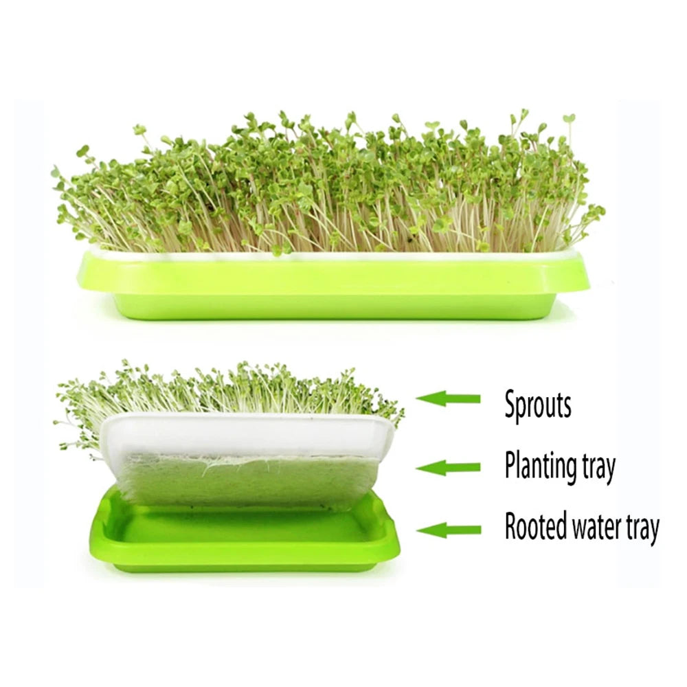 Hydroponic Microgreens Sprouter Tray - Perfect for Home Garden and Nursery!