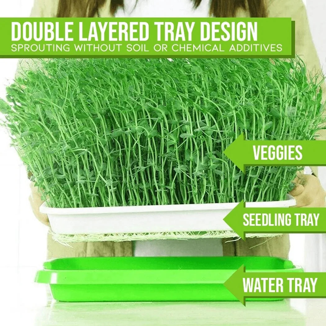 Hydroponic Microgreens Sprouter Tray - Perfect for Home Gardening and Nursery Systems