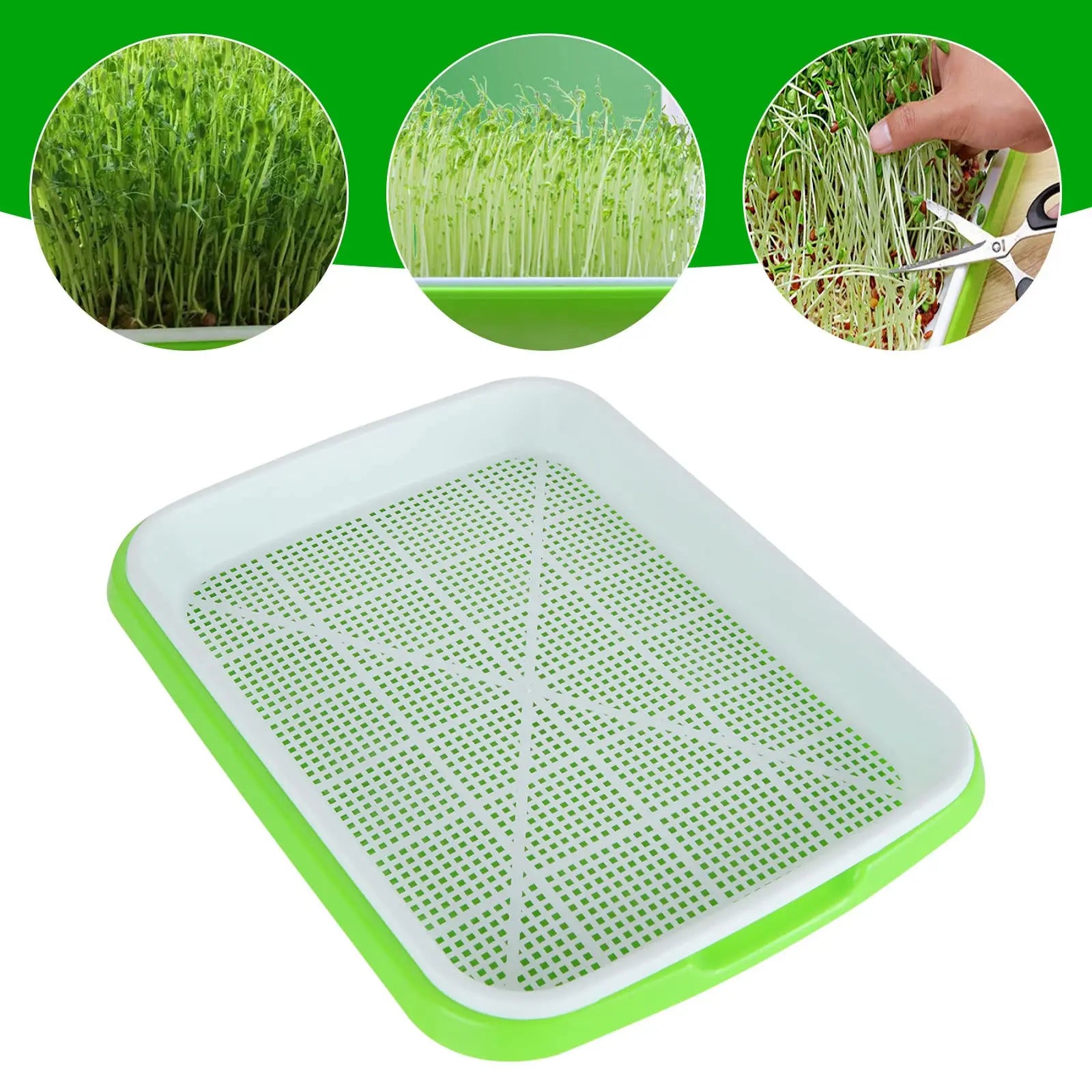 Hydroponic Microgreens Sprouter Tray - Perfect for Home Garden and Nursery!