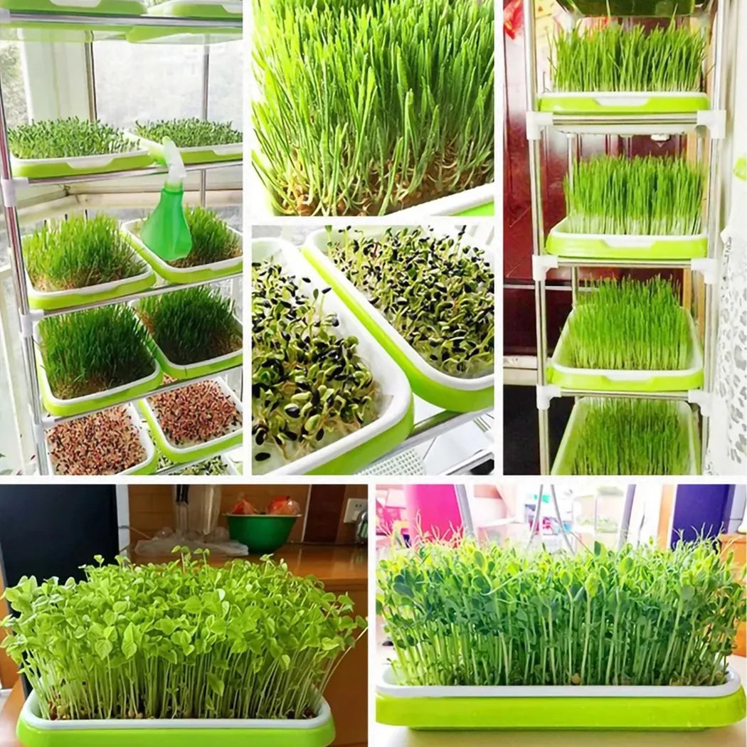 Hydroponic Microgreens Sprouter Tray - Perfect for Home Gardening and Nursery Systems