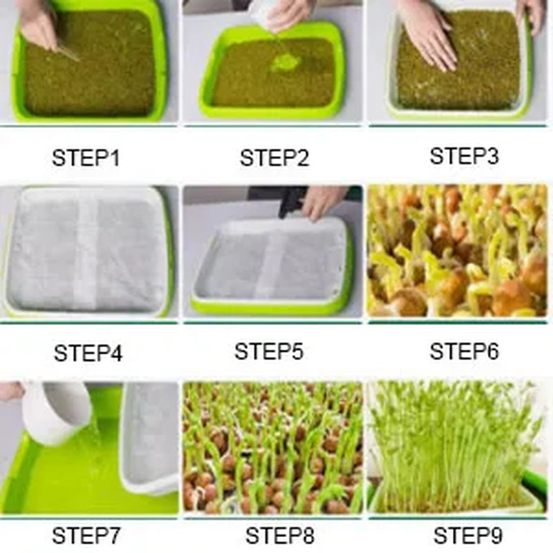 Hydroponic Microgreens Sprouter Tray - Perfect for Home Garden and Nursery!